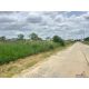 ขายที่ดิน 1-0-37 ไร่  ใกล้วัดบางแขม ตำบลบางแขม เมืองนครปฐม