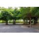 ขายที่ดินเปล่า 123.2 ตร.ว. (แปลงC) คานหาม อุทัย อยุธยา ใกล้โรจนะ มีไผ่หวาน ราคา 