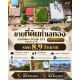 ขายด่วน! ที่ดินทำเลทองหายาก ใจกลางรามคำแหง-พระราม 9 เหมาะสร้างโฮมออฟฟิศหรืออพาร์