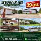 ขายถูกมาก!! ที่ดิน + อาคาร + โกดัง ขนาด 25 ไร่ ทำเลดี อ.กาญจนดิษฐ์ จ.สุราษฎร์ธาน