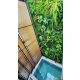 ขายพร้อมคนเช่า Private Luxury Pool Villa ใกล้  Bts บางจาก