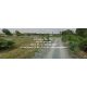 DSL-1409 ขาย ที่ดิน ขายที่ดินจัดสรรยกแปลง อ.นครชัยศรี นครปฐม (ใกล้ถนนเพชรเกษม) 9