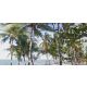 ขายที่ดินติดทะเลสิชล 2 ไร่ หาดทุ่งปรัง นครศรีธรรมราช เหมาะทำพูลวิลล่า ใกล้วัดเจด