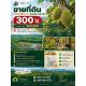 ขายที่ดินสวนทุเรียน + สวนยางพารา 300 ไร่ จ.ระยอง