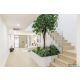 ขายทาวน์เฮ้าส์ สไตล์ Modern French Classic ซอยปรีดีย์พนมยงค์ 42 หมู่บ้าน บ้านคลอ