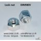 Self lock nut, Prevailing torque nut, Plastic insert nut, Jam lock nut, U Nut