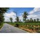 ขายที่ดินทำเลดี ใกล้โรงเรียนนานาชาติรีเจนท์ พัทยา ราคาสุดพิเศษ FP-L02434 