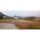 DSL-889 ขาย ที่ดิน ขายที่ดินเปล่า แถวพุทธมณฑลสาย 3-4 (ติดถนนหลัก และด้านหลังติดค