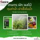 Dosing pump ปั๊มจ่ายพ่นปุ๋ย เข้าหัวสเปร์ย เพื่อการฉีดพ่นปุ๋ยได้ทั่วทั้งฟาร์ม  +8