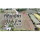 ราคาพิเศษ ที่ดินเปล่า 1-1-65.5 ไร่ ไทรงาม ถนนบางเลน นครปฐม ติดถนน