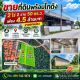 ขายที่ดินพร้อมโกดัง 2 ไร่กว่า ติดถนน 3551 ที่ดินพร้อมโกดัง 1 หลังทำเลมีหมู่บ้านจ