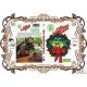 Leap Frog Presents - A Tad of Christmas Cheer