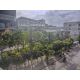 ขายที่ดินเปล่า 118 ตร.ว. ริม Skywalk BTS ปุณณวิถี ติดถนนสุขุมวิท ติด Cloud 11 ตร