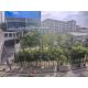 ขายที่ดินเปล่า 118 ตร.ว. ริม Skywalk BTS ปุณณวิถี ติดถนนสุขุมวิท ติด Cloud 11 ตร