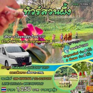 ทัวร์สวนผึ้ง ONE DAY TRIP ราคาเริ่มต้น เพียง 1250 บาท ยืนหนึ่งเรื่องทริปใกล้กรุง