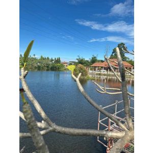 ให้เช่าถูกมาก!! บ้านเดี่ยวติดริมแม่น้ำ วิวสวย ม.ชัยพฤษ 2 ทำเลทอง ใกล้หาดจอมเทียน