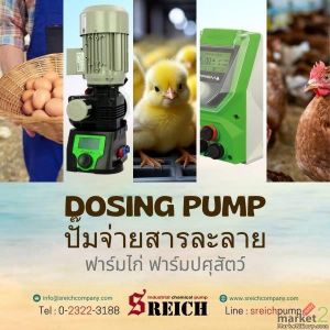 European chemical dosing pump ปั๊มยุโรปสูบส่งเคมีหนืด สมรรถนะยอดเยี่ยม