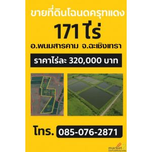 ขายที่ดิน 171 ไร่ ต.หนองยาว อ. พนมสารคาม จ. ฉะเชิงเทรา สนใจติดต่อ 085-076-2871