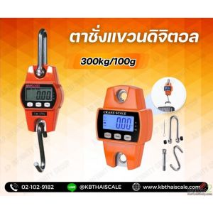เครื่องชั่งแขวนดิจิตอล 300kg ความละเอียด100g Digital Crane Scales