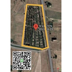 ขายถูกมาก!! ที่ดินติดถนนใหญ่ 18-2-56 ไร่ ทำเลดี อ.เกษตรวิสัย จ.ร้อยเอ็ด ใกล้อ.จต