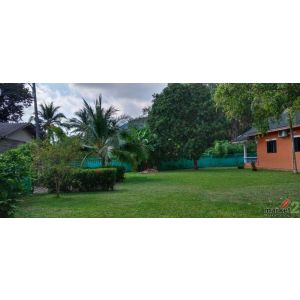 ขายถูกมาก!! ที่ดินพร้อมบ้าน 211 ตร.ว ทำเลดี ต.ราไวย์ อ.เมือง จ.ภูเก็ต ใกล้ชายหาด