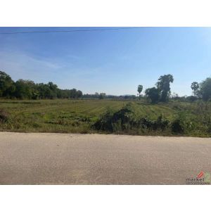 ถูกสุดในย่านนี้!! ที่ดินติดถนน 6ไร่ 2งาน ทำเลทอง อ.บางละมุง ชลบุรี ใกล้หาด