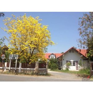 ราคาสุดพิเศษ!! ที่ดินทำเลทอง 2,119 ไร่ อ.สันกำแพง จ.เชียงใหม่ ศักยภาพสูง 