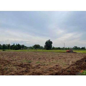 ขายถูกมาก!! ที่ดินเปล่า 45 ไร่ หน้ายาวติดถนน ต.ดงขุย อ.ชนแดน เพชรบูรณ์ 