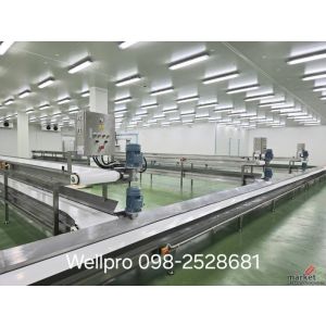 สายพานลำเลียง  Belt Conveyor