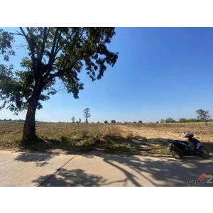 ขายถูกมาก!! ที่ดินติดถนน 19 ไร่ 2 งาน ทำเลดี อ.น้ำพอง จ.ขอนแก่น 