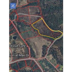 ขายที่ดิน  13 ไร่ 3 งาน  วิวธรรมชาติ  ตำบลห้วยแก้ว    แม่ออน   เชียงใหม่ 