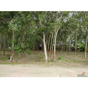 ขายที่ดินสวย บ้านค่าย จ.ระยอง