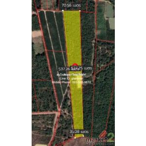 พื้นที่ดิน บ.ทุ่งเคล็ด ต.วังจันทร์ อ.แก่งกระจาน จ.เพชรบุรี ขนาด 7096 ตาราง-วา 77