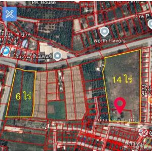 ขายที่ดิน 2 แปลง ใกล้กัน   มี 6 ไร่  และ  14 ไร่   อ. สันป่าตอง  ต.สันกลาง   เชี