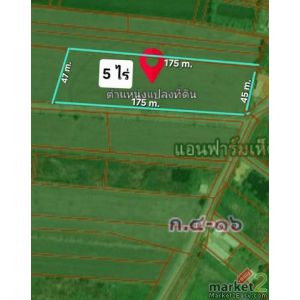 ขายที่ดินหนองจอก 5 ไร่ ลำต้อยติ่ง หน้ากว้างติดถนนถึง 175 เมตร ทรงสี่เหลี่ยมสวย เ
