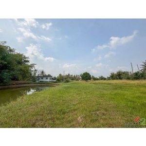 ขายที่ดินติดลำธาร ทำเลคุณภาพ บ้านโค้งดารา - หนองขาม ศรีราชา TP-L1904