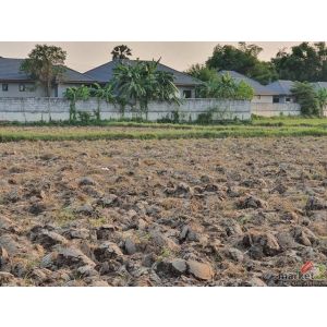 ขายที่ดินแปลงยาวฉะเชิงเทรา ที่ดิน 11 ไร่ 56 ตารางวา พื้นที่สีเหลือง ห่างจากนิคมอ