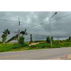 ขายที่ดิน  24 ไร่  มาบข่า  นิคมพัฒนาระยอง  ที่ดินผังสีม่วงลาย   ZT906 