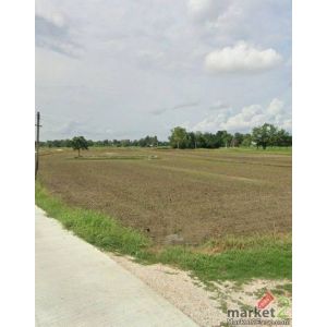 ขายที่ดิน อำเภอทัพทัน จังหวัดอุทัยธานี 3 แปลงติดกันเนื้อที่รวม 8 ไร่ 1 งาน 94 ตา