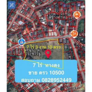  ขายที่ดิน  7 ไร่ 3 งาน  10 ตรว  ต. บ้านแหวน อ. หางดง เชียงใหม่