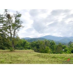 ขายที่ดิน  22 ไร่    อ.  แม่ออน  เชียงใหม่  ใกล้แหล่งท่องเที่ยว