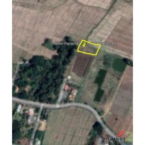 ขายที่ดิน  1 ไร่ 1 งาน   ราคาเบาๆ  อ ดอยสะเก็ด  เชียงใหม่