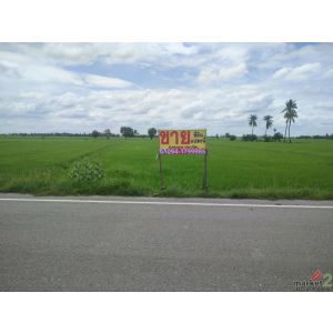 ที่ดินเปล่า 2-2-0 ไร่ ติดถนนอ่างทอง-สุพรรณบุรี อ.สามโก้ จ.อ่างทอง