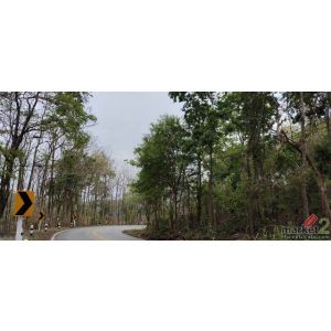 พื้นที่ดิน ที่ดิน จ.น่าน area 97 sq.wa 0 NGAN 20 ไร่  101211250 BAHT เดินทางง่าย