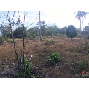 ที่ดิน ที่ดิน หาดหน้าทอน เกาะสมุย  33268500 บาท ใกล้ ห่างหาดหน้าทอน 1.5 กม. และห