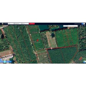 ขายยกแปลงสวนยางพารา ทำเลศักยภาพ ต.บ้านแลง อ.เมือง จ.ระยอง 