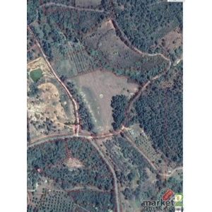 ขายที่ดิน  25  ไร่    วิวเขา ธรรมชาติ อ  แม่ออน  ต  ห้วยแก้ว เชียงใหม่