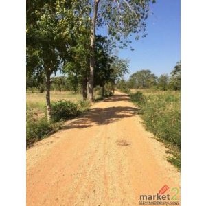 ขายที่ดินที่นา 7ไร่95ตรว. 1.1ลบ. หลังบ้านหนองบัวขาว-โนนกอก ใกล้ ถ.ชัยภูมิ-บ้านเข