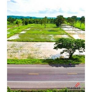 ขายที่นาติดถนนดำ วิวภูเขา ใกล้ปราสาทหินเมืองต่ำ อำเภอประโคนชัย จังหวัดบุรีรัมย์ 