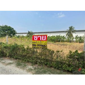 ขายที่ดิน 400 ตารางวา  ซอยกิ่งแก้ว25/1   ราชาเทวะ  บางพลี     ZT913 